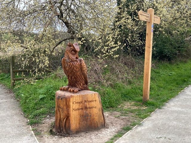 Coney Meadow Nature Reserve